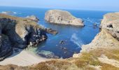 Tour Wandern Bangor - 2-Port Coton - l'Apothicairerie à Belle Île en mer  - Photo 5