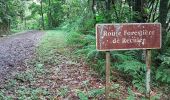Randonnée Marche Sainte-Marie - Parcours Forêt de Reculée - Photo 10