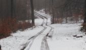 Excursión Senderismo Paliseul - devant le pré  - Photo 3