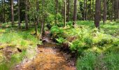 Trail Walking Spa - les eaux au sud de Spa  - Photo 16