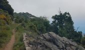 Trail Walking Sainte-Agnès - Mont Ours - Photo 7