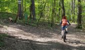 Trail Mountain bike Mutzig - parcours test VTTAE Mutzig  - Photo 6