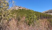 Tour Wandern La Roche-des-Arnauds - Sentier de la Poltrona/Combe du Duc. - Photo 3