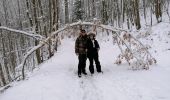 Tour Wandern Ham unter Varsberg - rando samert - Photo 3