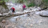 Percorso Marcia La Sure en Chartreuse -  Gorges de la Roize Voreppe - Photo 10