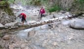 Randonnée Marche La Sure en Chartreuse -  Gorges de la Roize Voreppe - Photo 10