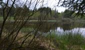 Tour Zu Fuß Thiersheim - Wanderweg 4 Thiersheim - Photo 1