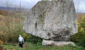 Tour Wandern Orcival - La Roche Branlante  - Photo 3