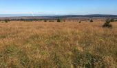 Tocht Stappen Malmedy - Balade Fagnes guidée - Photo 2