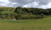 Trail Walking Merlas - Merlas boucle par le lac de St Sixt et étang des chartreux  - Photo 2