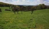 Trail On foot Poppenhausen - Dietershausen Rundweg 2 - Photo 5