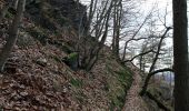 Trail On foot Nalžovice - CZ-6035 - Photo 6