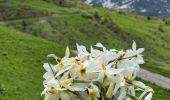 Tocht Stappen Vaujany - Sabot cochette enneigée  - Photo 2