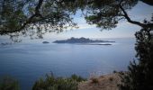 Tocht Stappen Cassis - traversée des calanques - Photo 1