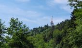 Tocht Stappen Le Bourget-du-Lac - DENT DU CHAT - MOLARD NOIR - Photo 10