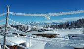 Tocht Sneeuwschoenen Lans-en-Vercors - Circuit les Aigaux / Charande - Photo 14