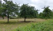 Randonnée A pied Tongres - Rond de bronnen van de Mombeek - Photo 3