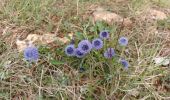 Tour Wandern Saint-Saturnin-lès-Apt - APT S Saturnin d Apt  , sentier des Auguiers et des bornes o - Photo 11