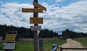 Tocht Stappen Les Hermaux - Rando Lozère.. Rajas..Malailhebiai. - Photo 10