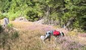 Trail Walking Vielsalm - Initiation bivouac j1 - Photo 8