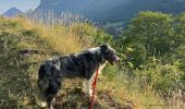 Trail Walking Claix - Colline de Comboire - Photo 12