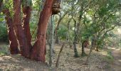 Percorso Marcia La Crau - Fenouillet - Chateau de Hyères - retour par les vignes - Photo 1