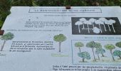 Trail Walking Grimaud - Grimaud - Sentier de la calade - Photo 16