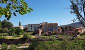 Tocht Stappen Le Puech - Les Vailhès Laulo Plateau d'Auverne Salagou - Photo 5