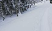 Trail Snowshoes Le Hohwald - rptlch - Photo 1