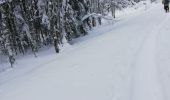 Randonnée Raquettes à neige Le Hohwald - rptlch - Photo 1