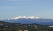 Excursión Senderismo Laroque-des-Albères - Laroque-des-Albères, petit tour des mas  - Photo 3