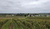 Tocht Stappen Coteaux-sur-Loire - Saint-Patrice les Prés Bédoué - GRP Étang Chêne Meunier Ingrandes-de-Touraine - 20.4km 315m 4h35 (1h10) - 2024 10 03 - Photo 6