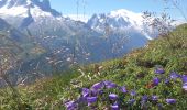Tour Wandern Chamonix-Mont-Blanc - Aiguillette des Posettes 2201m 6.7.22 - Photo 6
