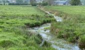 Tocht Stappen Libramont-Chevigny - Bras-Freux - Photo 15