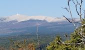 Tour Wandern Monieux - Gorges de la Nesque - Photo 6