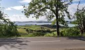 Tour Wandern La Trinité - École de pêche - Bourg Tartane  - Photo 12