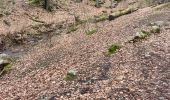 Randonnée Marche Spa - Source de la geronster  - Photo 4