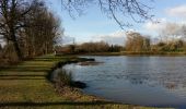 Tour Wandern La Chapelle-Thouarault - La Chapelle Thouarault  - Photo 2