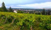 Tour Wandern Joigny - Joigny - Villeneuve sur Yonne et 2/3  - 35 km IBP 97 - Photo 8