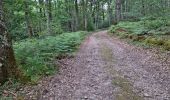 Trail Walking Coulommiers-la-Tour - Les Bois d'Huchigny, des Péseries et de Villemalin - Photo 7