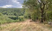 Randonnée Marche Viroinval - Olloy sur Viroin 23 km - Photo 10