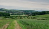 Trail Walking Nailly - Nailly 240519 - Photo 1