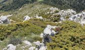 Randonnée Marche Castellane - Chasteuil - Cadières de Brandis - Photo 19