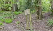 Percorso A piedi Somerset West and Taunton - Herepath Trail - Blagdon Hill - Photo 5