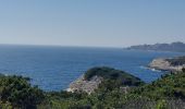 Randonnée Marche Bonifacio - plages des calanques et phare - Photo 8