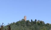Tour Wandern Philippsburg - Étang de Hanau / Circuit de découverte  - Photo 16