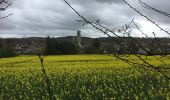 Randonnée  Villiers-sous-Grez - Villiers sous grès marchant - Photo 4