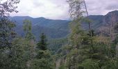 Tocht Stappen Wegscheid - Sattelboden Stahlberg - Photo 8