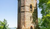 Tour Zu Fuß Höxter - Erlesene Natur - Zu Besuch im Paradies - Photo 10