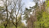 Tour Zu Fuß Lügde - Wanderweg Dreieck Nach Elbrinxen - Photo 3